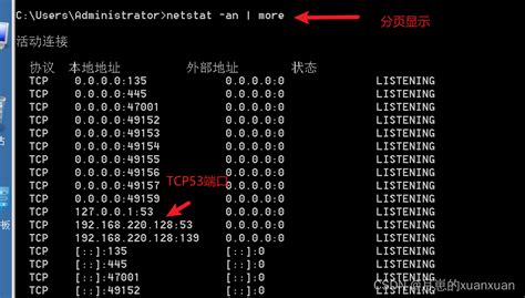 DNS服务器的配置与管理_安装一台dns服务器,服务器域名设置为:dns1.weihaicollege.com,创建服务器的反-CSDN博客