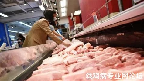 2021年第三次中央猪肉收储来了！14天竞价5.3万吨，透露着什么信号？ - 行业信息交流/杂谈 鸡病专业网论坛