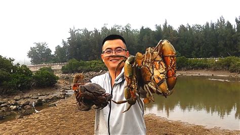 中国姑娘在法国“赶海”，螃蟹泛滥到没人吃，一晚上捕10斤螃蟹做香辣蟹！_腾讯视频