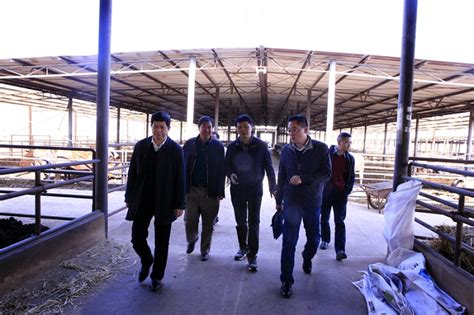 研究中心参加中国畜牧兽医学会动物营养学分会第十一届全国会员代表大会暨第十三次动物营养学术研讨会-南京农业大学动物消化道营养国际联合研究中心