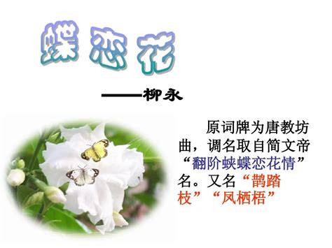 蝶恋花柳永-蝶恋花柳永 - 早旭阅读