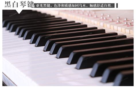 雅马哈（YAMAHA）立式钢琴音乐学院YC系列YC121EXPEM(彩) - 姜杰钢琴琴城