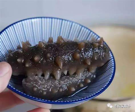 常见的海参介绍海参图片高清 野生（Introduction to common sea cucumber） | 干海参网