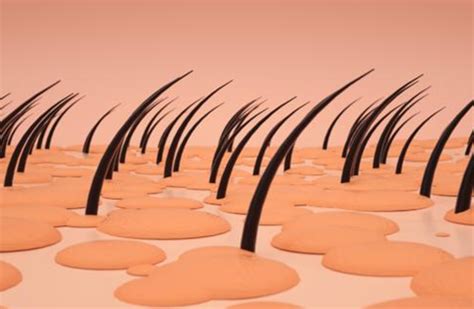生活上7个最常见的断发原因，中招越多断发越多，尤其是第4个_头发