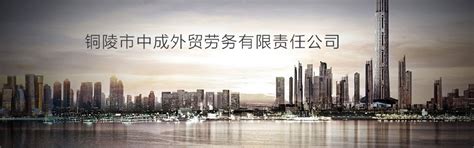 安徽铜陵：搭建供应链体系 提高港口物流效率-人民图片网