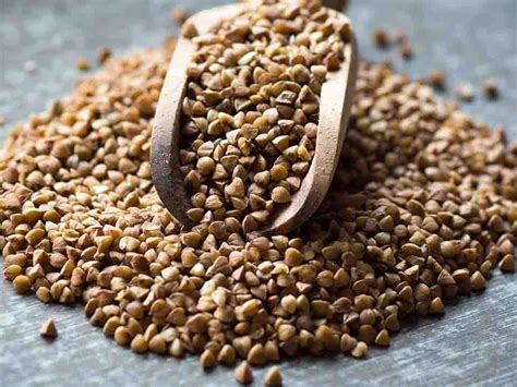 吃黑麦有什么好处 黑麦的功效与作用-复禾健康