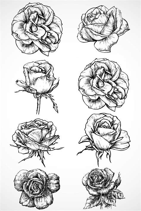 花素描图片