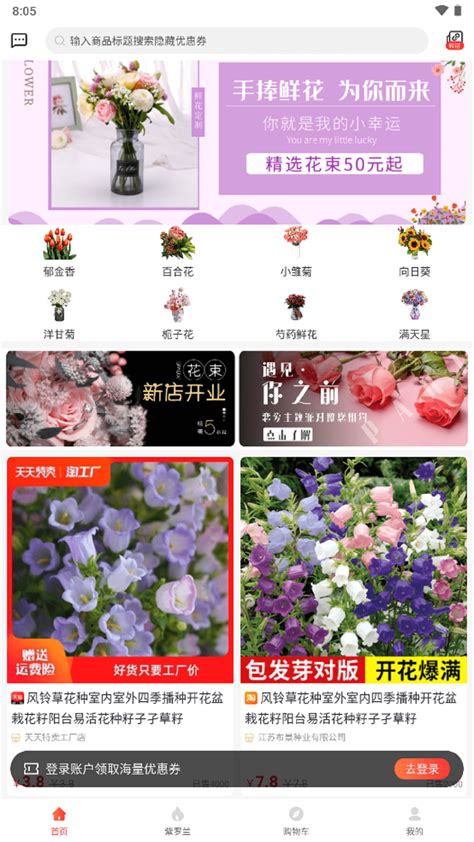 金鹿儿图片