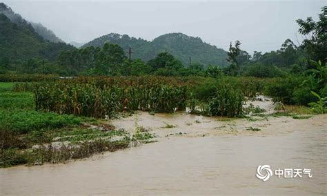 甘肃康县：强降雨导致洪涝灾害 自救工作全面展开-人民图片网