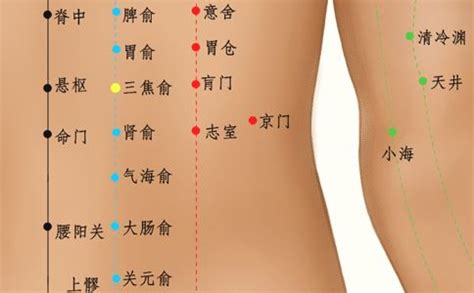 腰俞的准确位置图图片 腰俞的准确位置图图片