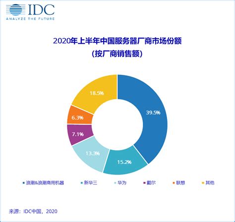 2020年中国服务器市场分析报告-行业深度分析与投资前景预测_观研报告网