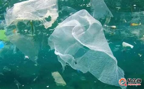 必看!应对”白色污染”,树立环保意识,可降解塑料迎来新的发展契机!