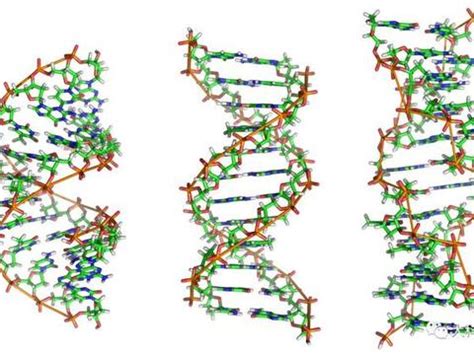 DNA分子的3d插图核苷酸的螺旋分子在有机体环境中图片素材-正版创意图片503448301-摄图网