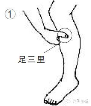 膝眼的准确位置图图片 膝眼的准确位置图图片