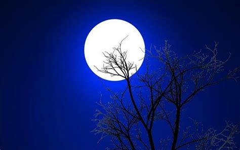描写月亮的诗句，有关月亮的优美古诗精选 - 词多多