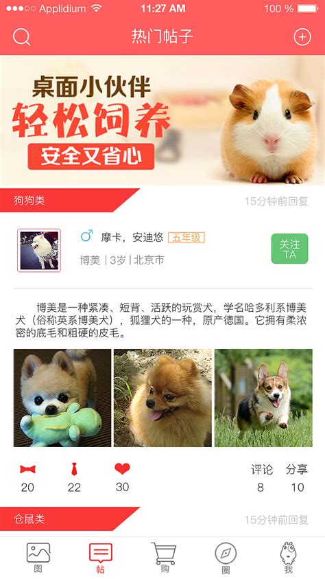 宠物类app|UI|APP界面|Cherisett - 原创作品 - 站酷 (ZCOOL)