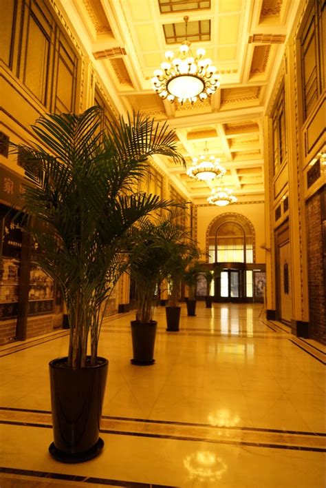 上海国际饭店酒店图片