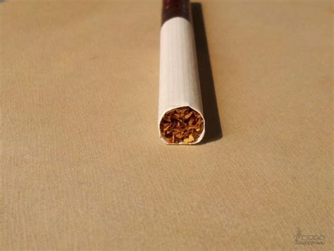 点燃的一支香烟图片免费下载_红动中国