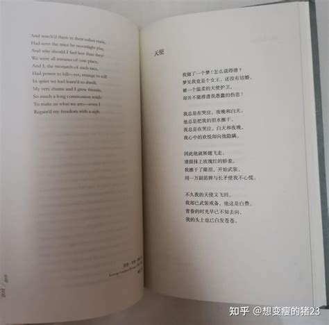 英语经典诗歌鉴赏图册_360百科