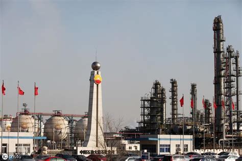 中国石油天然气股份有限公司大庆石化分公司