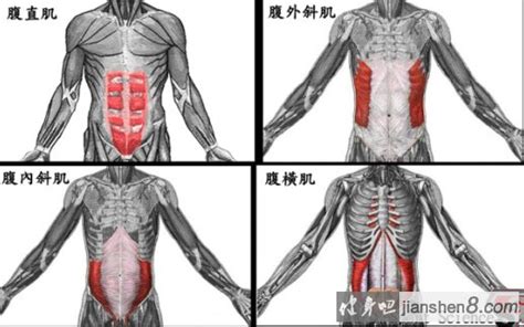 腰腹部_腹肌锻炼方法图解_锻炼腹肌最有效的方法_腹肌撕裂者视频教程_健身吧
