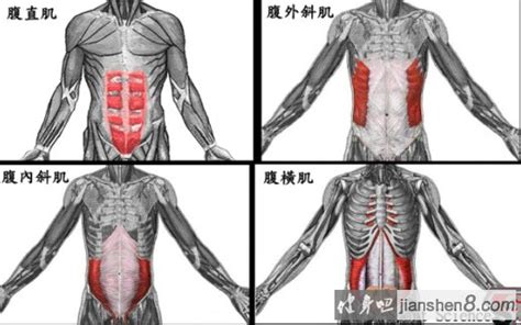 瑜伽体位图224式大全，值得永久收藏，拿去不谢_凤凰网健康_凤凰网