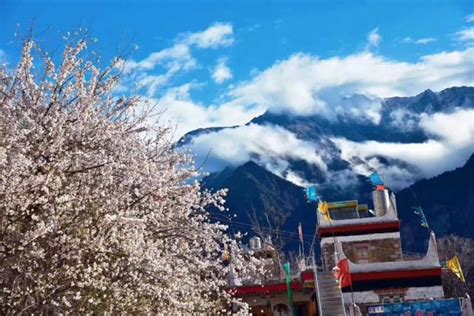 国内最美的春天，三月份的林芝堪称西藏最美的世外桃源_旅游美食季_新浪博客