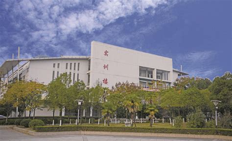 武汉软件工程职业学院集中签约多家名企 推动更多5G工业应用落地 —湖北站—中国教育在线
