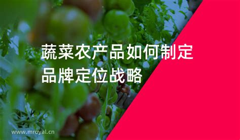 上海大润发，凭这些文案火出圈_顶流_蔬菜_营销
