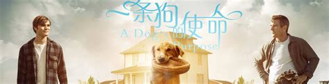 一条狗的使命_电影剧照_图集_电影网_1905.com