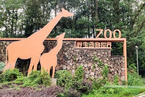2020碧峰峡野生动物园-旅游攻略-门票-地址-问答-游记点评，雅安旅游旅游景点推荐-去哪儿攻略