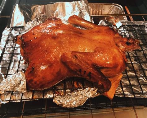 家庭自制烤鸭的做法：有空可以学着做！ | 说明书网