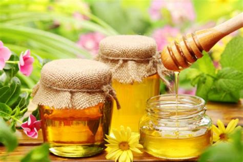 美味的蜂蜜图片-美味的各种蜂蜜产品素材-高清图片-摄影照片-寻图免费打包下载