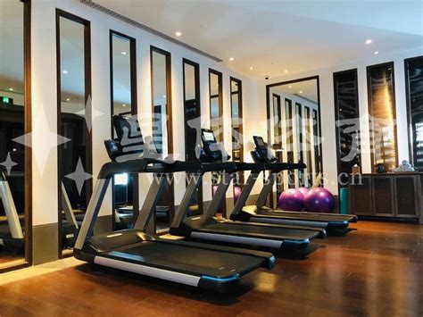 商用坐式高拉训练器健身房专用高位下拉三头肌肉训练器健身器材械-阿里巴巴