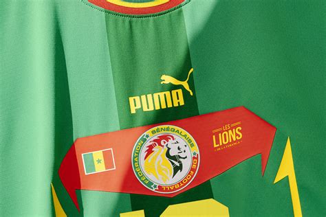 塞内加尔国家男子足球队- 知名百科