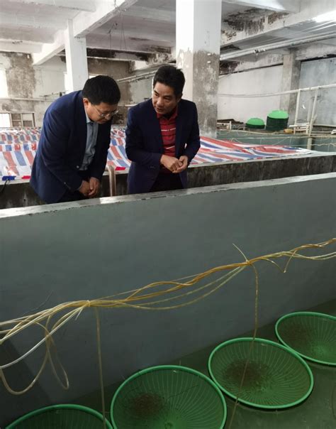 市科技局调研指导阳江市海水种业创新发展协会工作