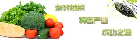 寿光蔬菜,寿光产业链,寿光蔬菜——特色产业成功之道,中国农业网专题