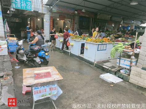 确保强降雨期间价格平稳 海口美兰区监测市场菜价_海口网