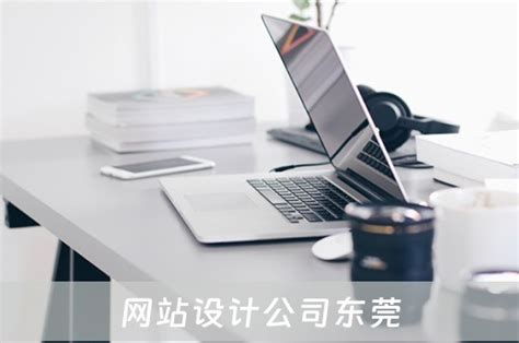 网站设计公司东莞 网站设计公司东莞有哪些 - 码学网