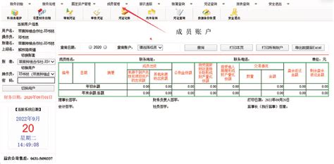 合作社财务报表表式_word文档免费下载_文档大全