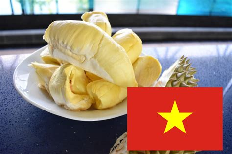 越南榴莲知识大全（价格、品种、产地、季节）|越南|榴莲_新浪新闻