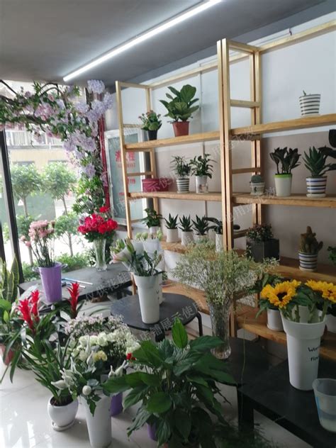 在花店与植物合作的围裙上欢欣鼓舞的多高清图片下载-正版图片503409538-摄图网