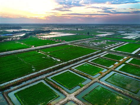 探索潜江、武汉水产绿色高质量发展之路-共青团华中农业大学委员会