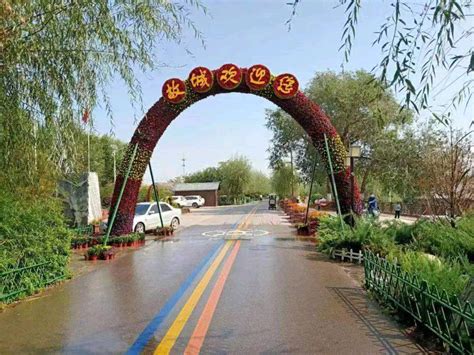 河北故城：全力打造省级美丽农村精品示范路 - 中国网