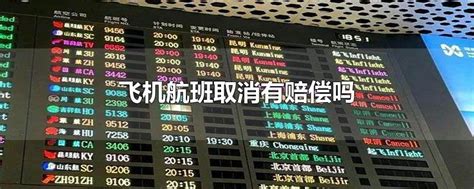 济南机场航班今日上午大面积取消 进出港累计取消超220架次 | 每日经济网