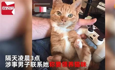 《当家主母》虐猫事件造谣者被判刑 制片人于正发文回应 - 娱乐圈热词 - 锦文网络流行语