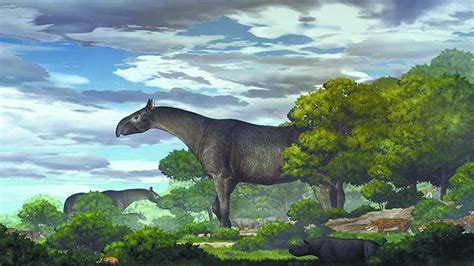 “鲸”奇演化：五千万年前陆地行走的小鹿，变成地球上最大的生物|掠食者|霍斯|化石_新浪新闻