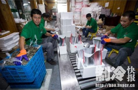 冷冻冷藏与冷链物流技术的发展前景-行业新闻-深圳市精诚制冷设备有限公司