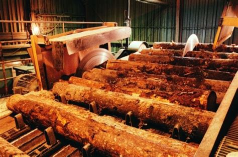 木材加工这些流程做好出材率才高_重庆勇勇商贸有限公司