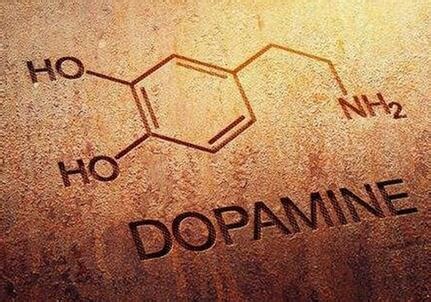 多巴胺 - 知乎